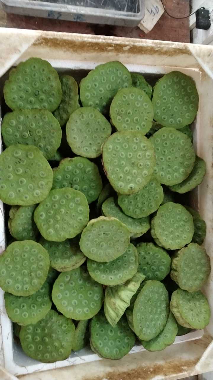 现摘莲蓬莲米 阳光玫瑰葡萄