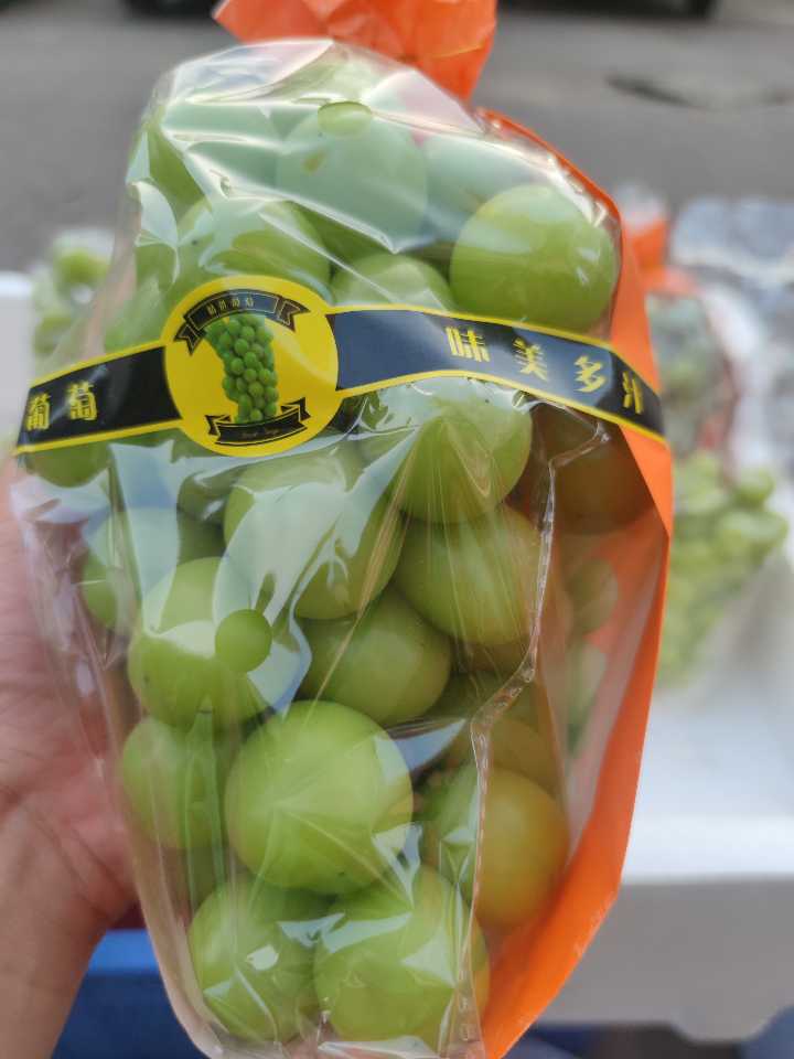 现摘莲蓬莲米 阳光玫瑰葡萄