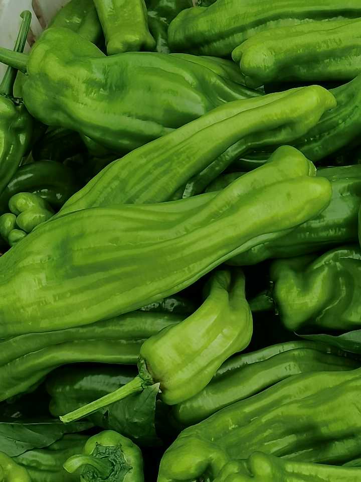 汉川市少华瓜菜配送中心