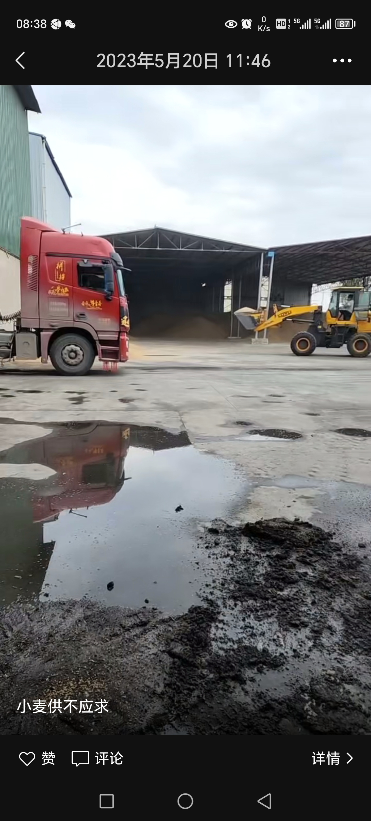 大量收购各品种 种植农作物，稻谷 大麦 小麦 黄豆 包谷等，价格公道。