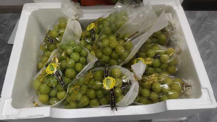 每日现摘 阳光玫瑰一级果 颗颗爆甜 夏黑葡萄 全部8元一斤