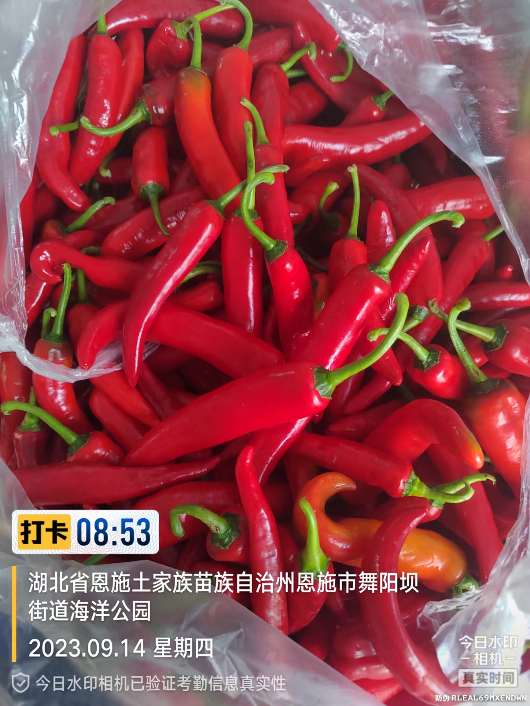 世界硒都-湖北恩施特色农产品 饱含硒元素 常吃有你想像不到的好处