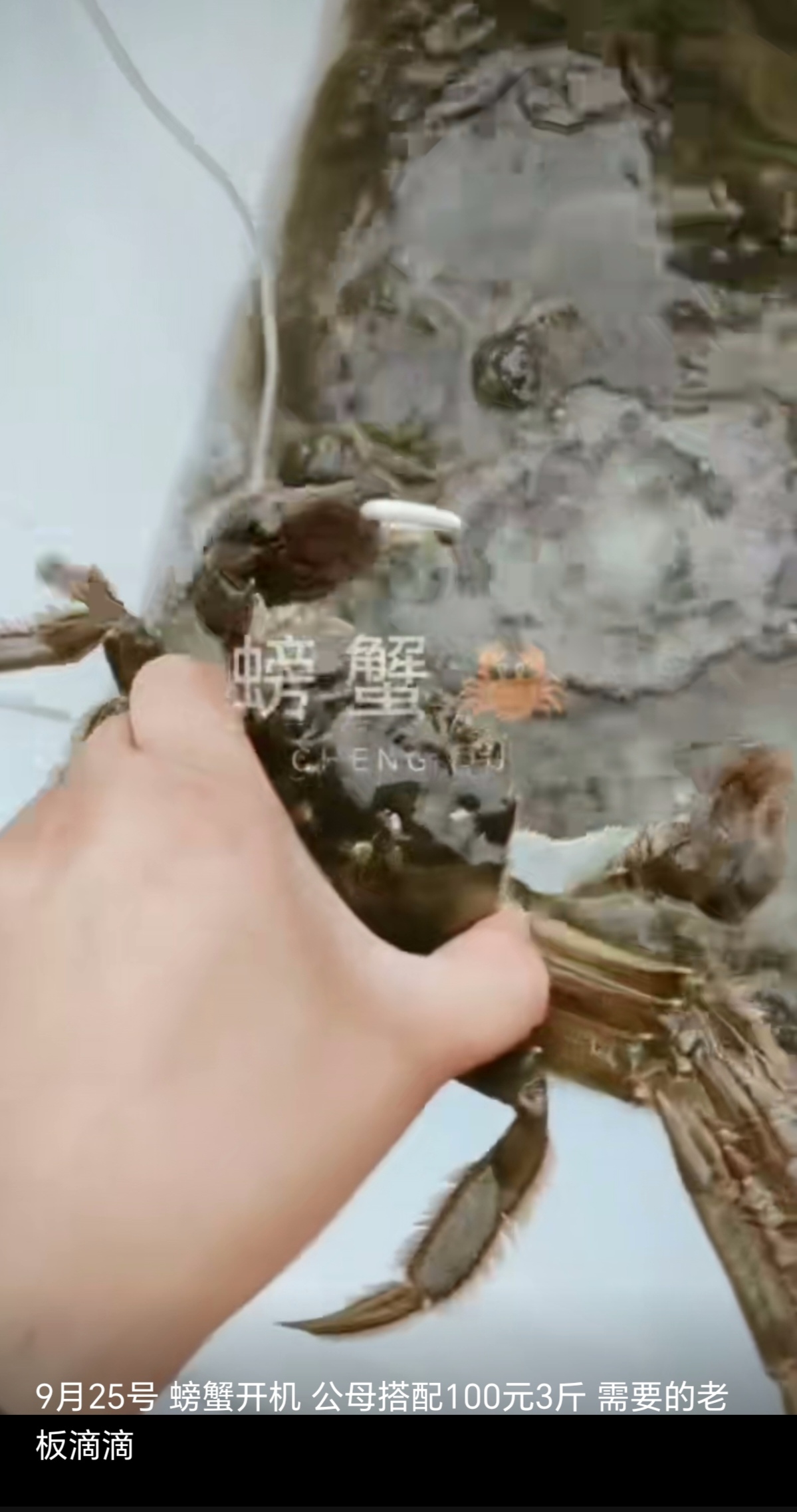 金秋十月吃蟹正当时 壳坚味美，明白消费 包死包赔，大市场买不到的实惠！