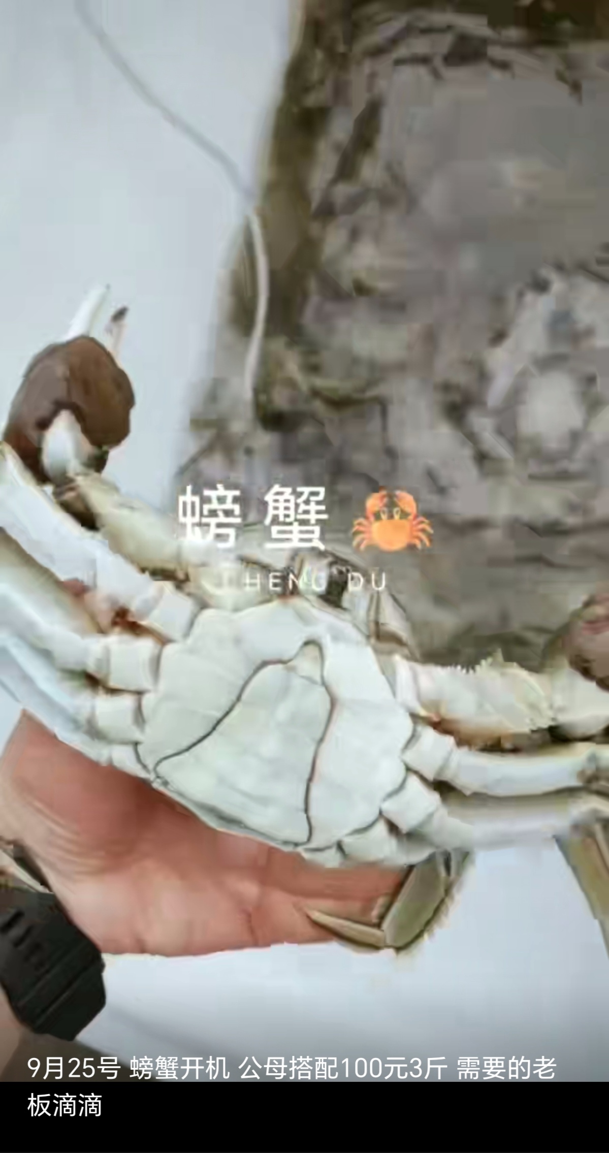 金秋十月吃蟹正当时 壳坚味美，明白消费 包死包赔，大市场买不到的实惠！