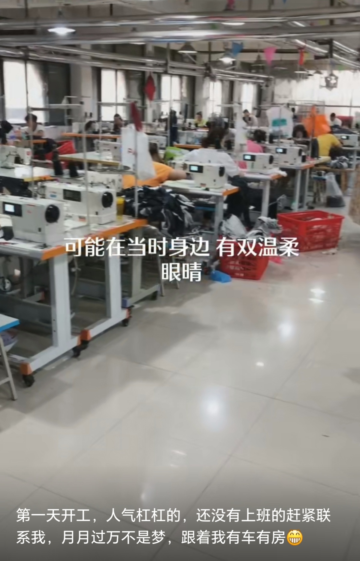 金海洋招:厂长 组长 总检 IE 工艺 车工 付工 中烫 质检 清洁工…开门红包500元 