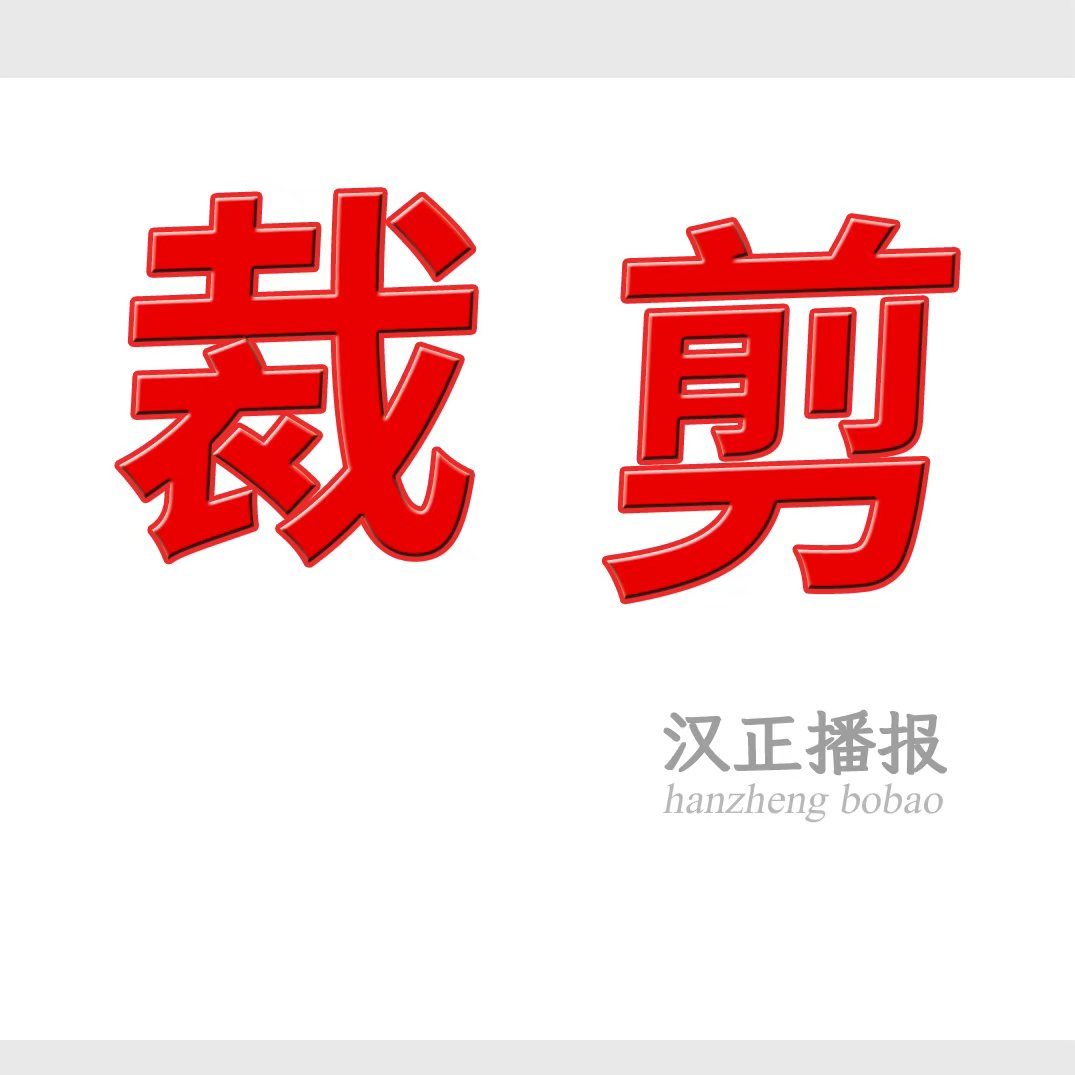 专业临裁，多人团队， 计时计件，保质保量